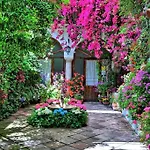 New! Alojamiento - Los Patios De La Ribera