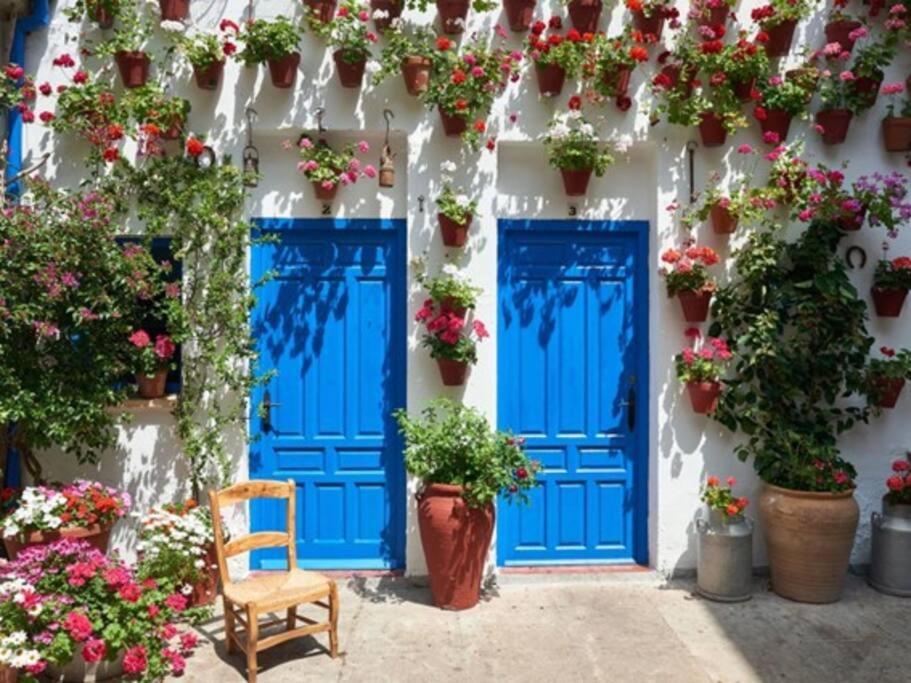 New! - Patios De La Ribera Córdoba